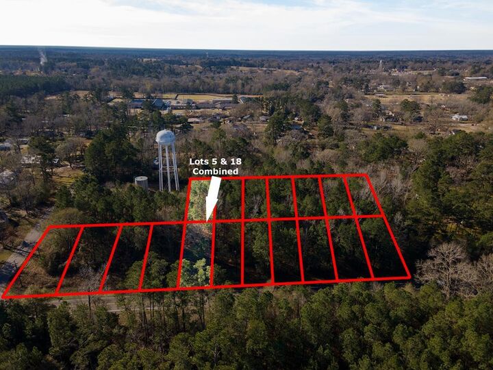 R41009 Fm 2019  Huntington TX 75949 photo