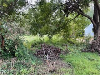 Property Photo: 0 Grace Avenue NC 27217