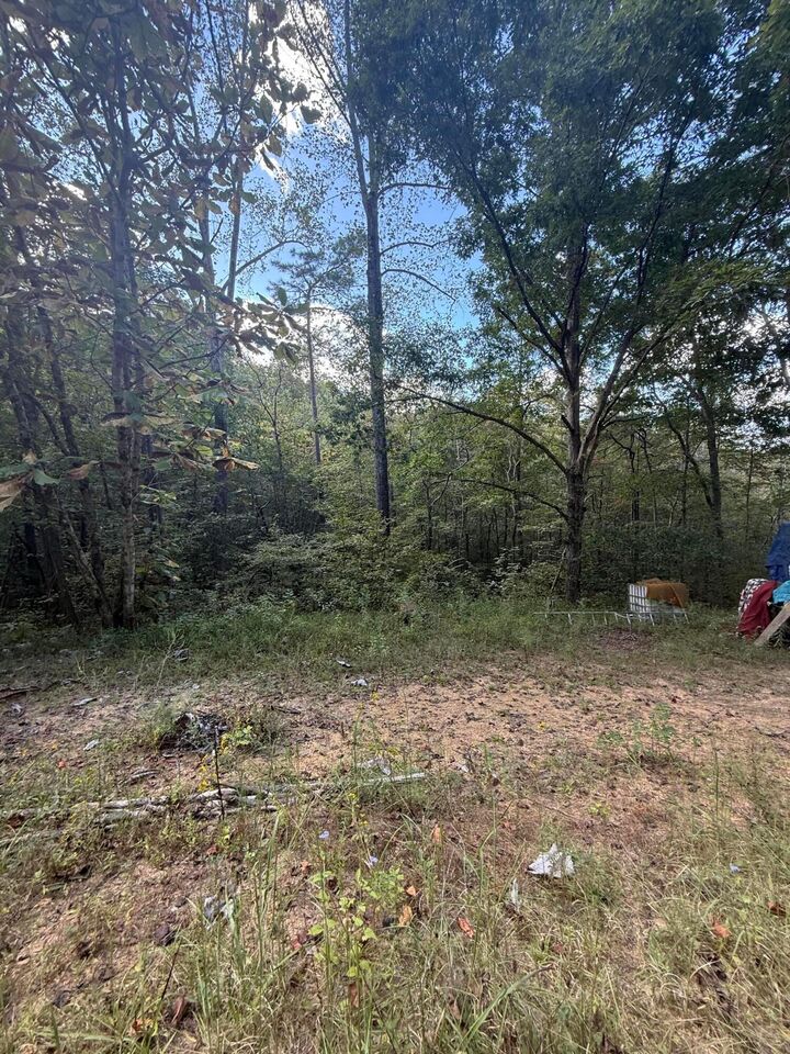 Property Photo: County Rd 3730 AL 35540