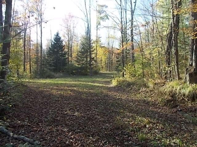 Property Photo: N4835 Burma Rd WI 54452