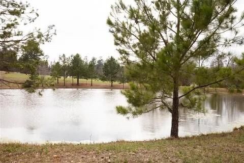 Property Photo:  135 N Forest Drive  TX 77340