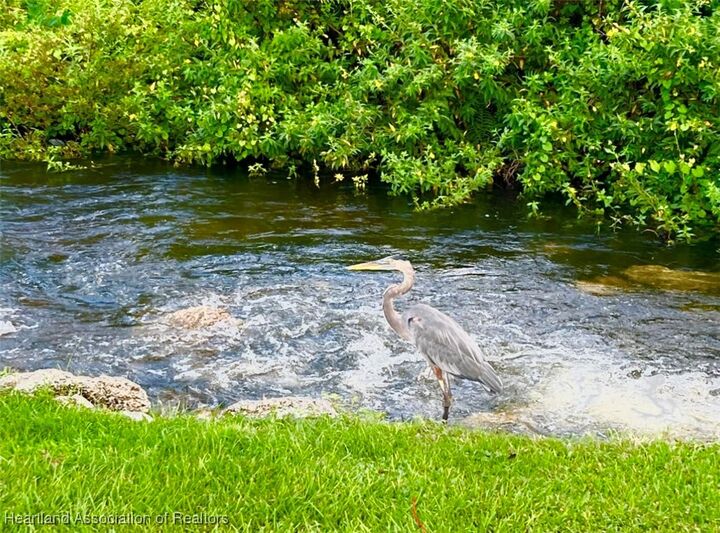 Property Photo: 2061 Jack Creek Drive FL 33852
