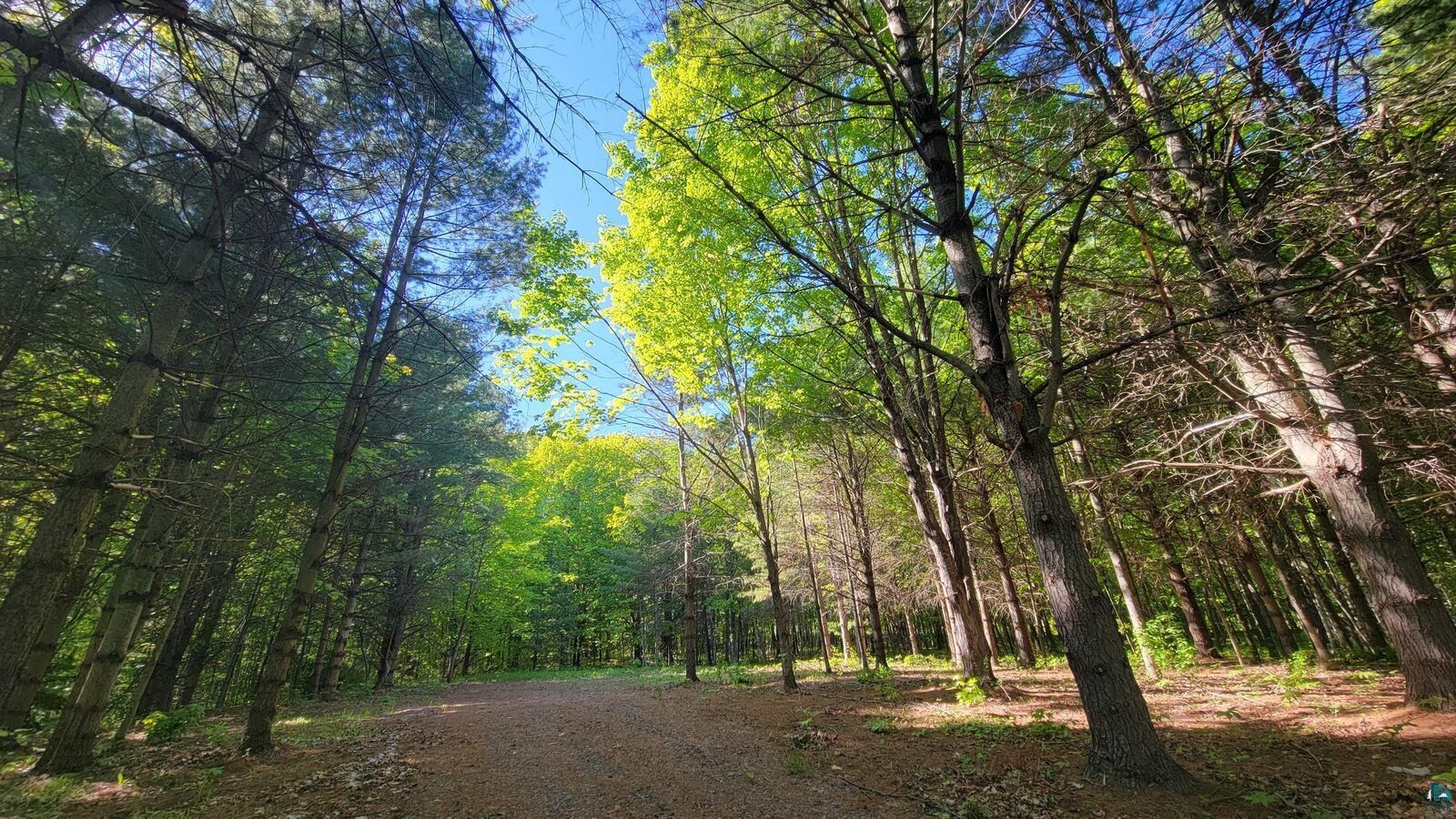 Property Photo:  11xxx Old Military Rd  WI 54814 