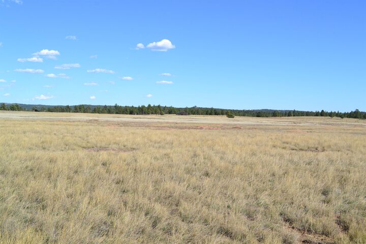 Property Photo: Tbd Moonlight Drive SD 57735