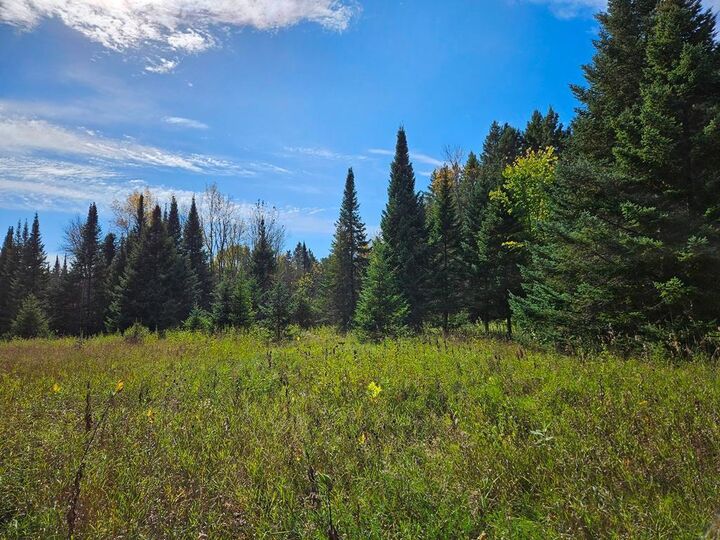 Property Photo:  Lt 3 Blk 1 County Rd 238  MN 56636 