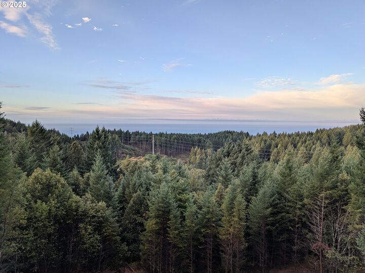 Property Photo: 18950 Timeus Ranch Rd OR 97415