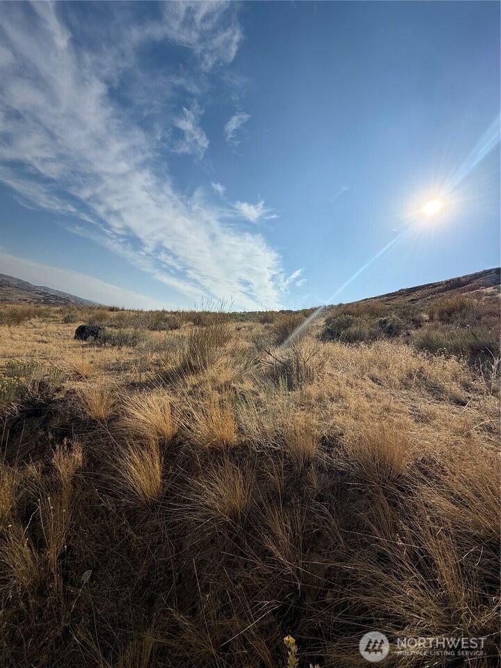 Property Photo: 0 Tbd Soap Lake Road WA 98840