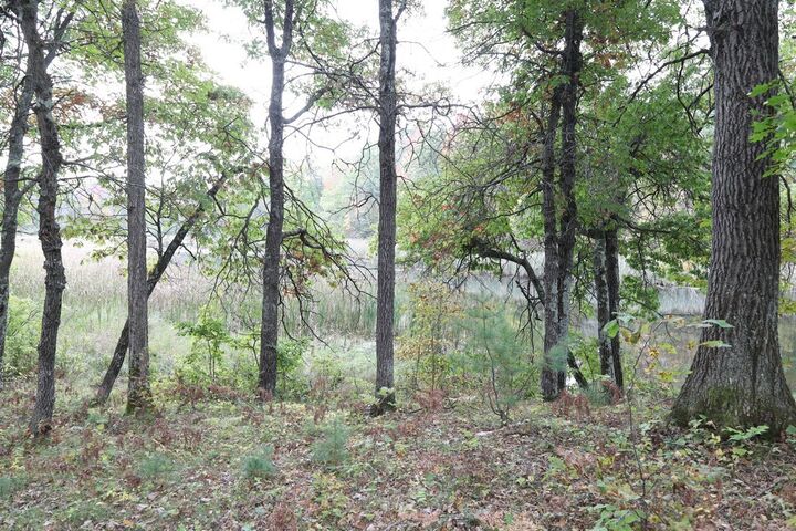 Property Photo:  Xxx Norman'S Landing Road  WI 54893 