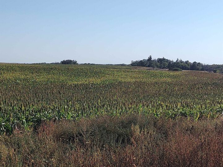 Property Photo:  00000 E Wheat Dr.  KS 67481 