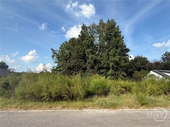 Property Photo:  0 Live Oak Lane Lot 5  GA 30629