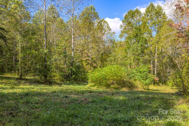 Property Photo: 170 Midnight Sun Lane NC 28762