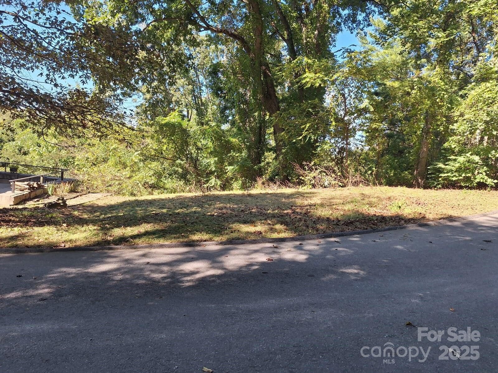 Property Photo:  64 Ardmion Park 1  NC 28801 