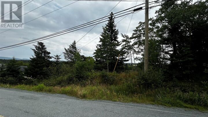 Property Photo:  177 Bauline Line  NL A1K 1H6 