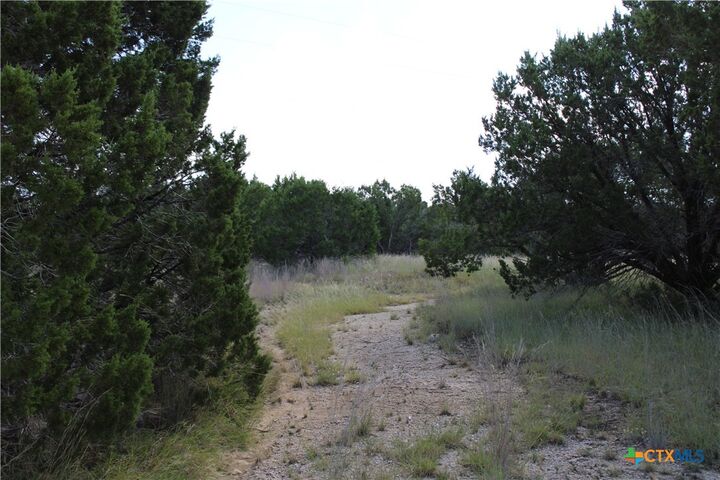 Property Photo:  114 Shell Mountain Drive  TX 76528 