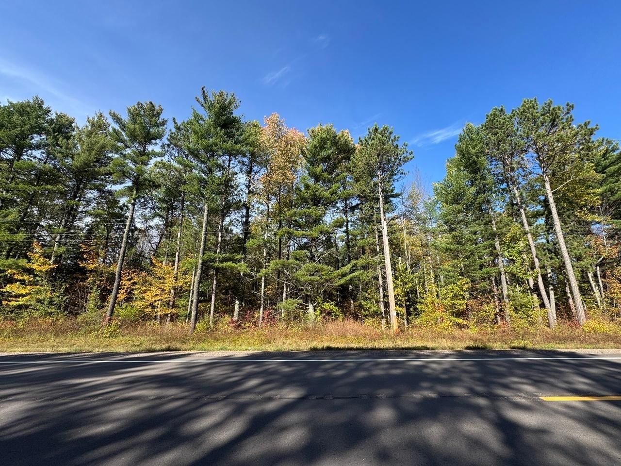 Property Photo: 0660W Hwy 51 WI 54547