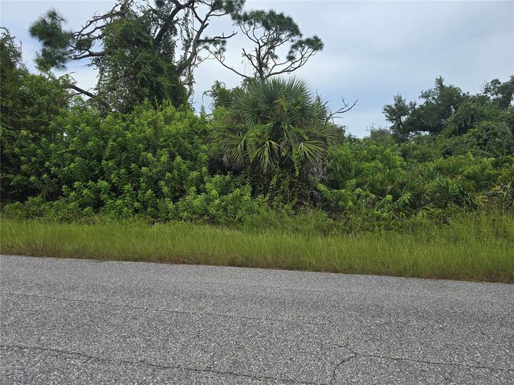 Property Photo: 13381 Amaryllis Circle FL 33981