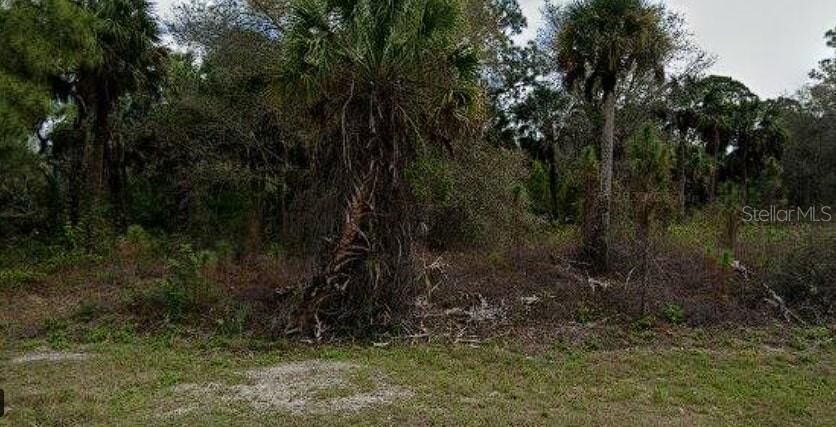 Property Photo: 256 Ravenswood Boulevard FL 33954