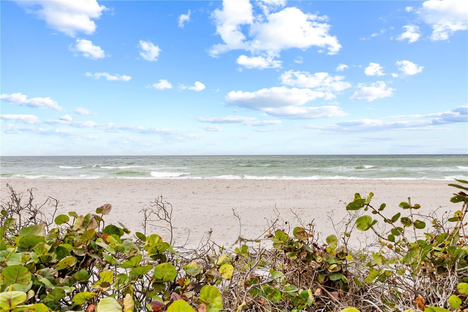 Property Photo:  3400 Gulf Boulevard 105  FL 33786 