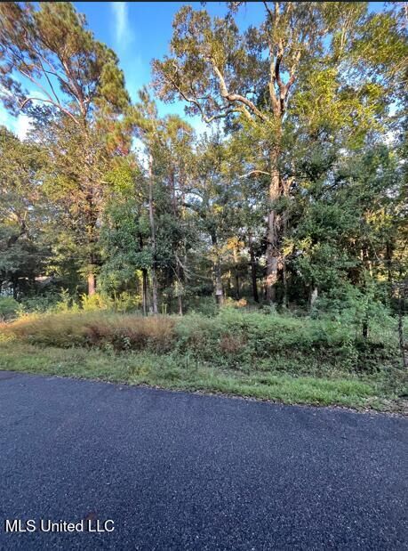 Property Photo:  0 Dorothy Street  MS 39564 