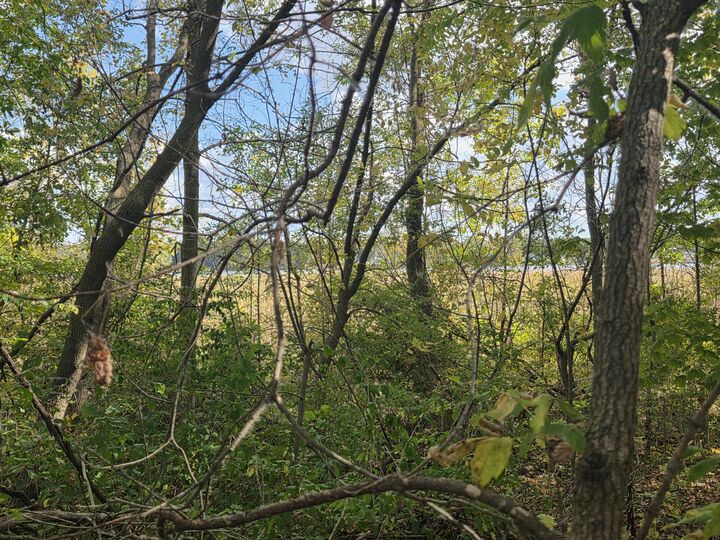 Property Photo: Hankerd Rd MI 49272