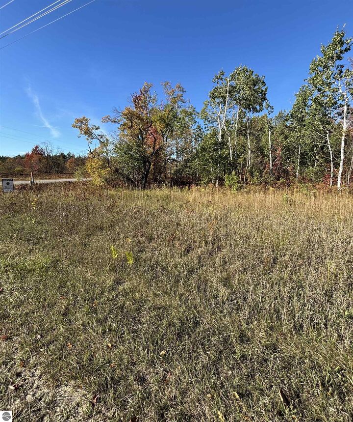 Lot 1200 Thornton Drive  Mancelona MI 49659 photo