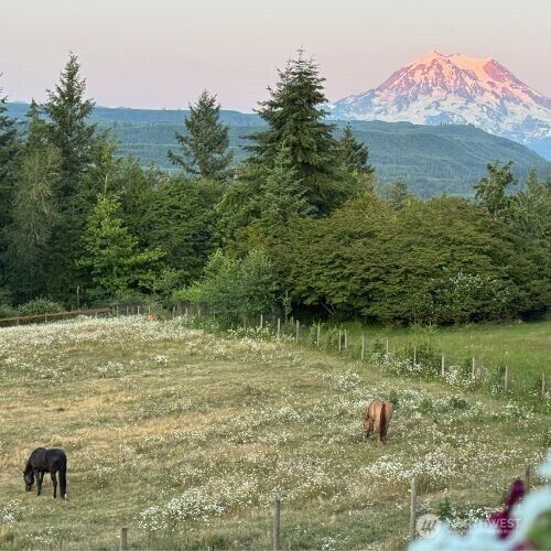 Property Photo:  27215  159th Avenue E  WA 98338 