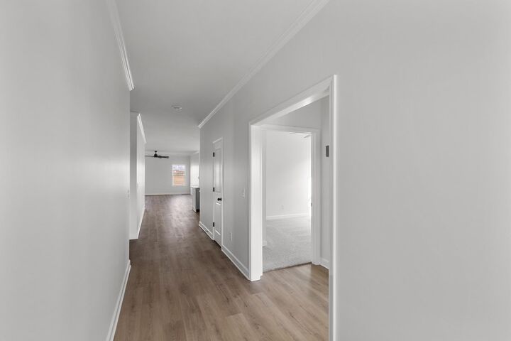 Property Photo:  262 Weeping Willow Trail  AL 36345 