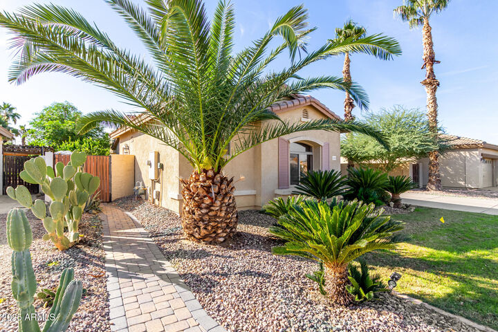 Property Photo: 21151 E Stirrup Street AZ 85142