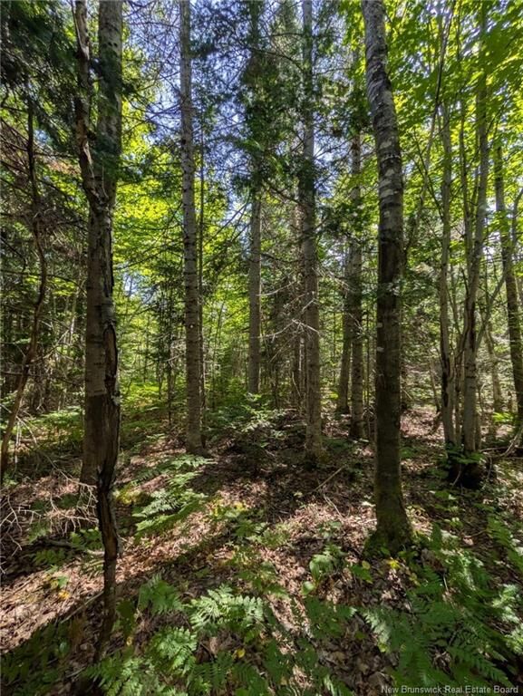 Property Photo:  28 Acres Rue Des Fondateurs  NB E8R 1B3 