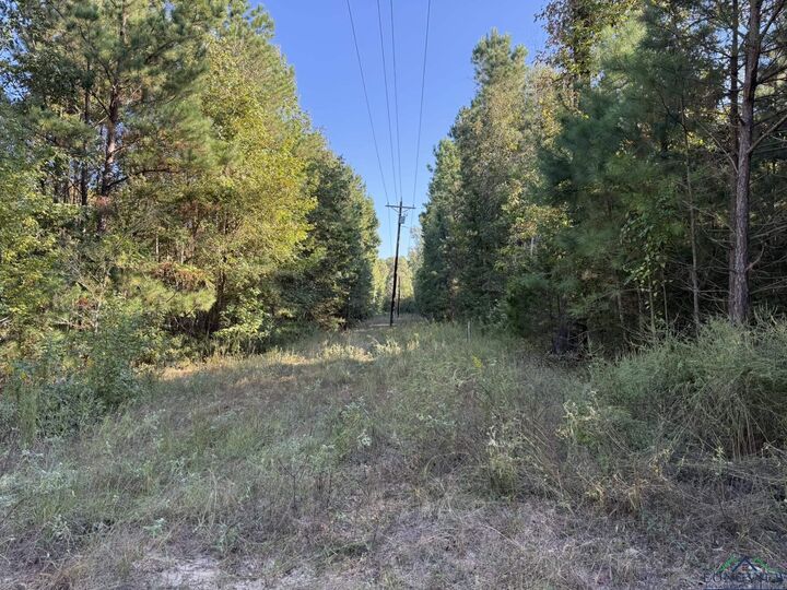 Property Photo: Tbd Fm 2796 TX 75644