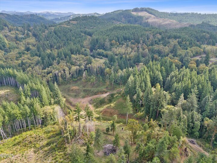 Property Photo: Vl Pioneer Mountain Loop OR 97391