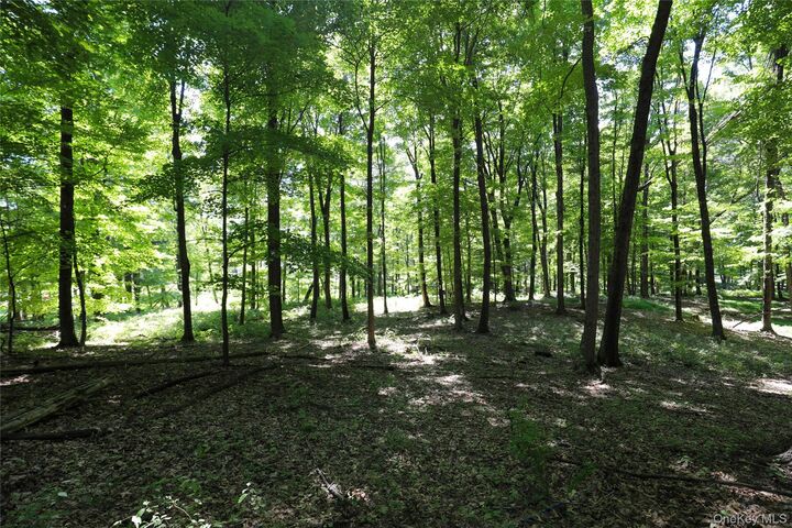 Property Photo:  458 Lucas Avenue  NY 12487 