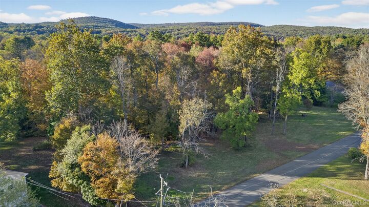 Tbd Henry Street  Wurtsboro NY 12790 photo