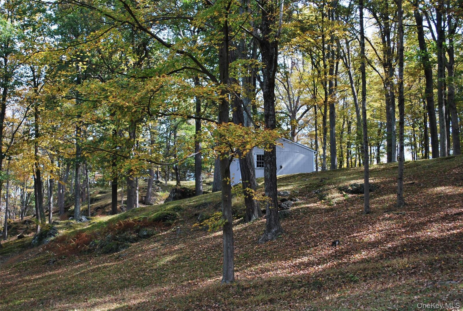 Property Photo:  155 W Lake Road  NY 10990 