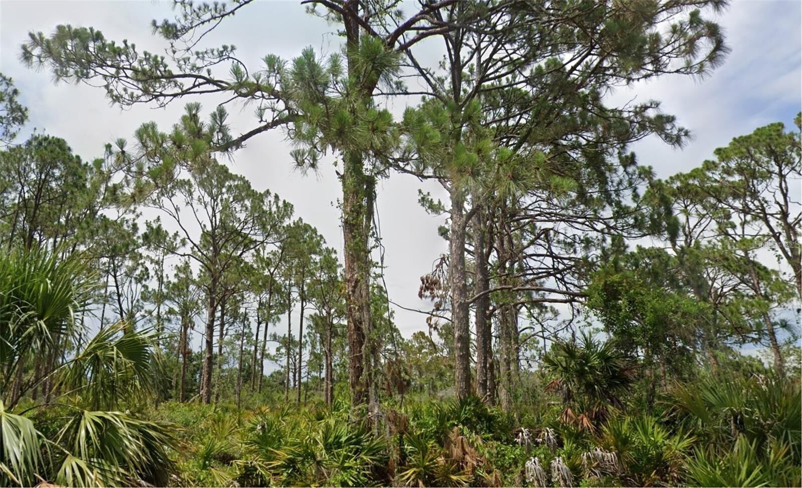 Property Photo: 13498 Fairbanks Avenue FL 33953