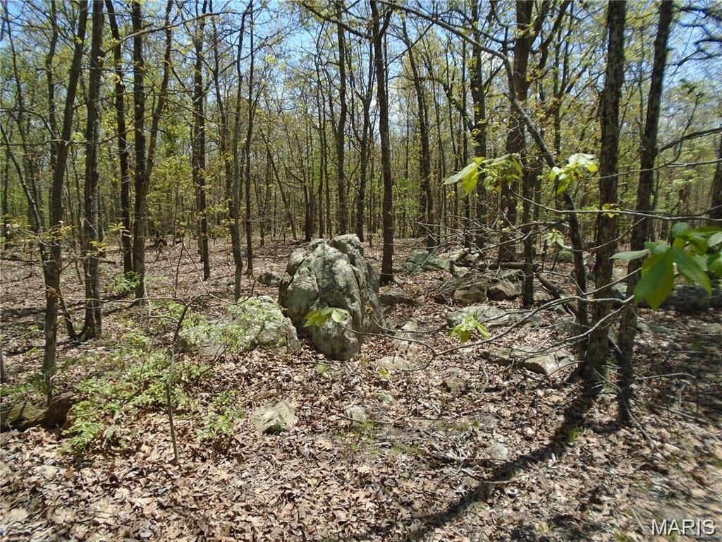 Property Photo: 0 Whitetail Glen Trail MO 63650