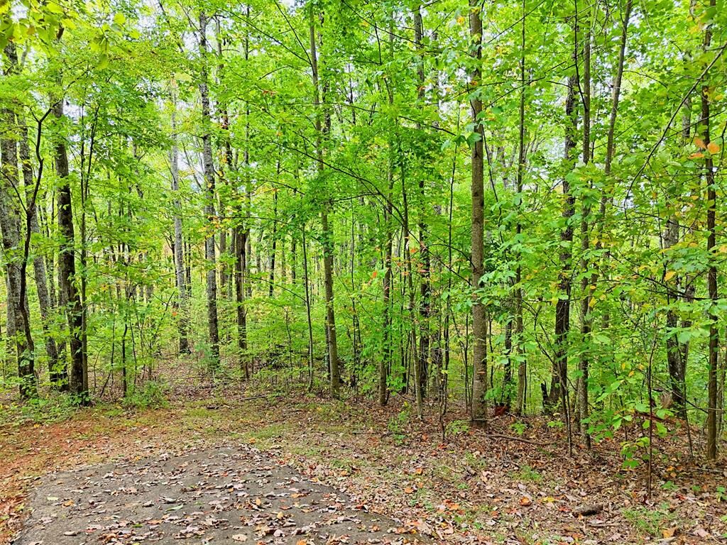 Property Photo: Lot 1 Skyview Drive NC 28904