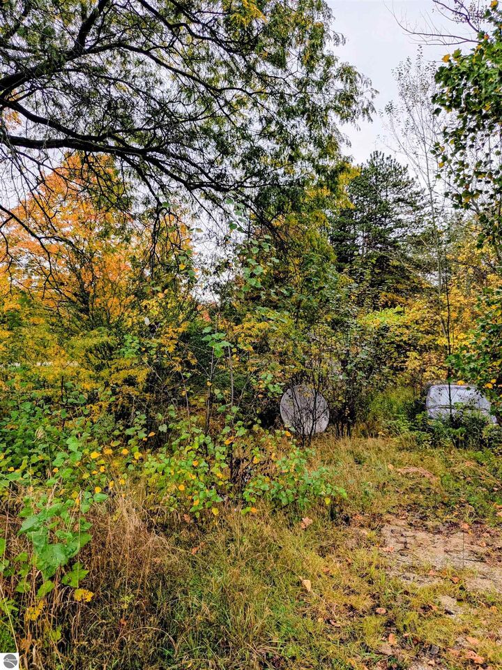 Property Photo:  2495 W Blanchard Road  MI 48858 