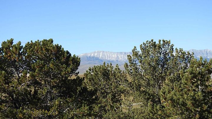 Property Photo: 157 Acres Snake Trail AB T9K 1W0