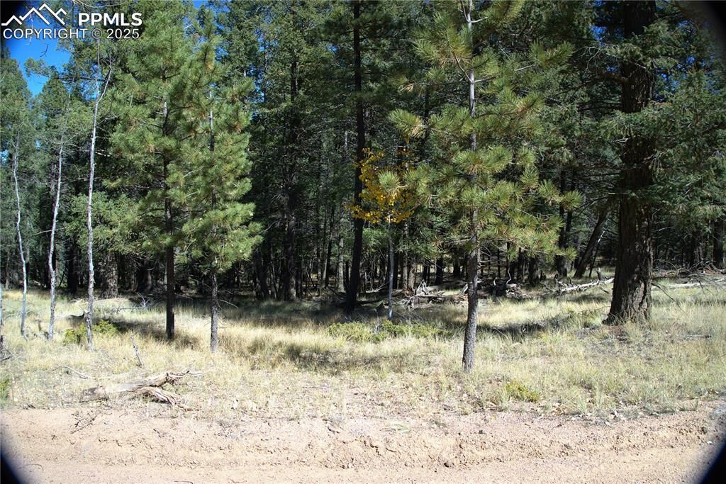Property Photo: 252 Southpark Road CO 80816