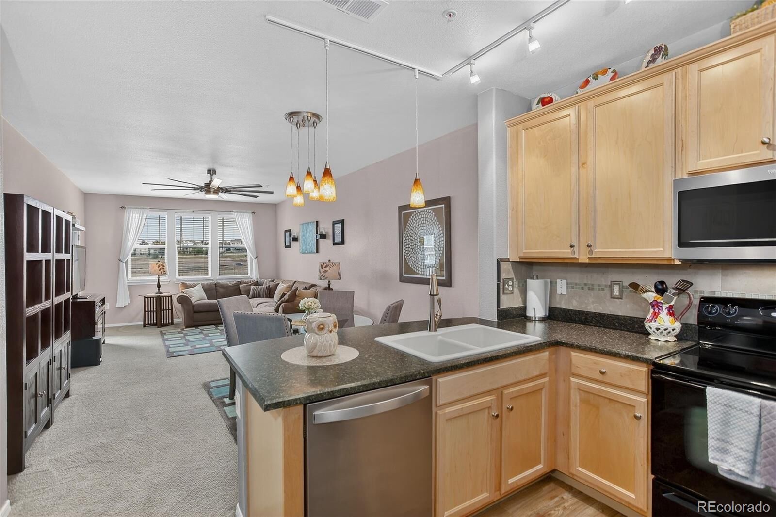 Property Photo:  15540 Canyon Gulch Lane 208  CO 80112 