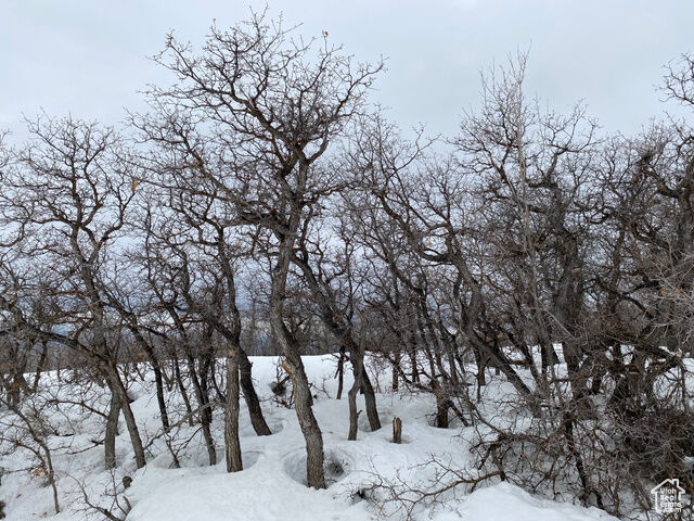 22949 N 13755 E 93  Fairview UT 84629 photo