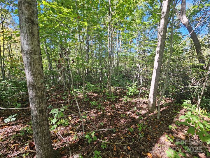 Property Photo: Tbd Lackey Town Road NC 28762