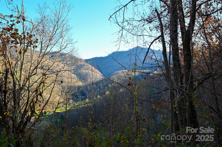 Property Photo: 99999 South Turkey Creek Road NC 28748