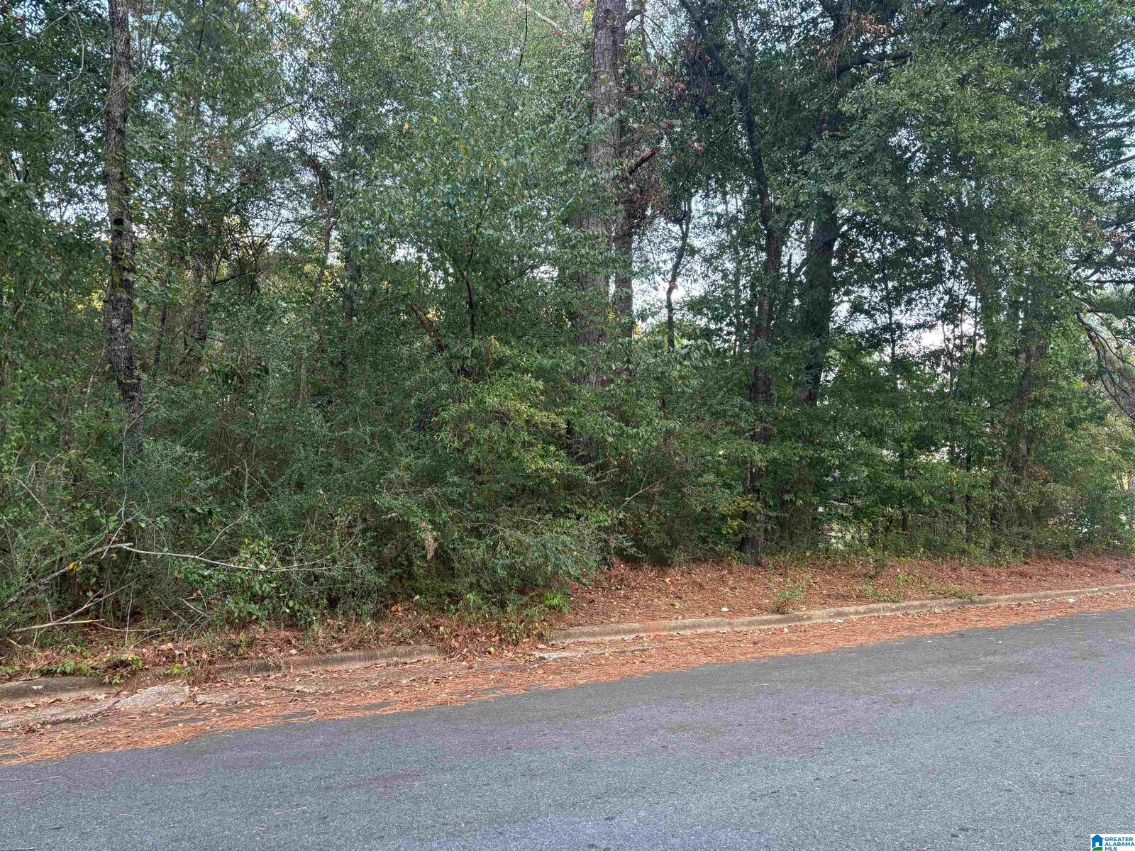 Property Photo: 0 Sedgefield Drive 11 AL 35150