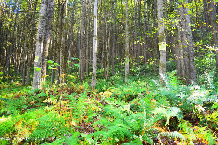 Property Photo:  Graham Hollow Road  PA 18822 