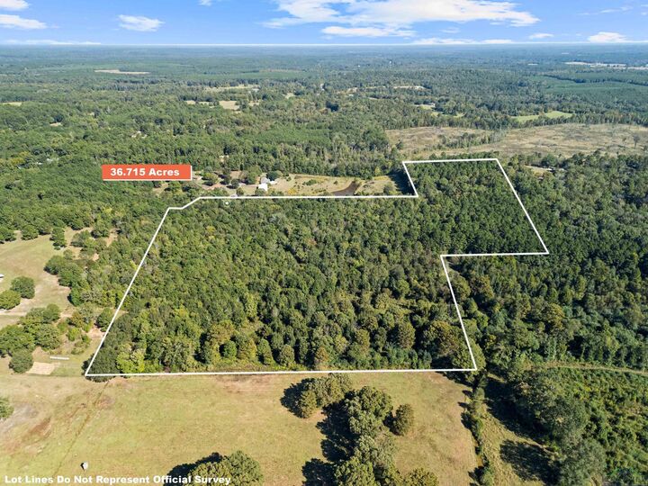 Property Photo: Tbd Cr 1882 TX 75563