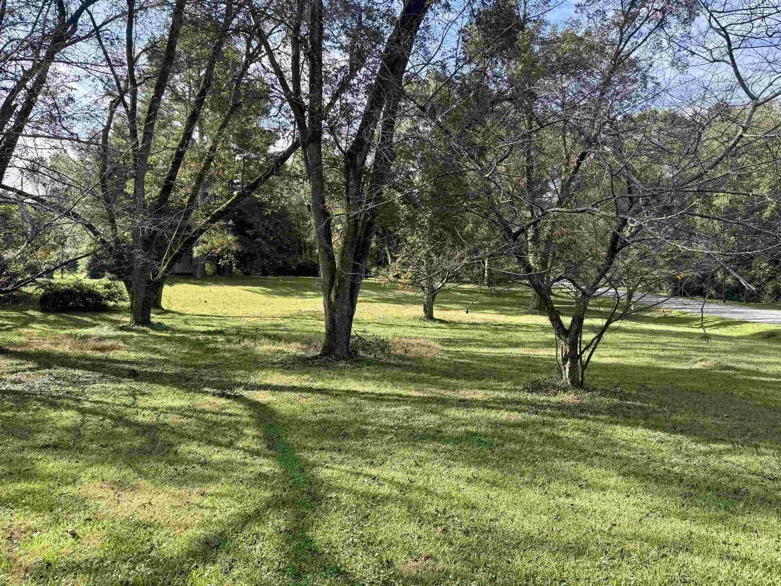 Property Photo: Lot O S Hwy 15 S Siloam Road GA 30642
