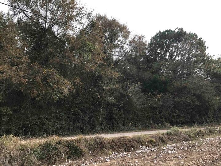 Property Photo: 24050 River Road N AL 36526
