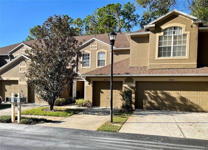 Property Photo:  18805 Duquesne Drive  FL 33647 